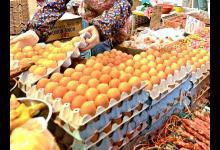 香港檢出歐洲“毒雞蛋”，官方：受污染雞蛋全下架