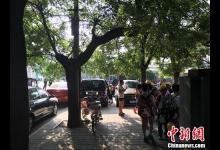 猥褻兒童事件頻發(fā)：校園性教育何時不再尷尬？