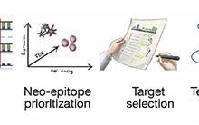癌癥疫苗曙光初現：腫瘤突變基因制成疫苗，喚醒體內抗癌大軍