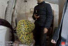 利潤超販毒！農村黑作坊生產假減肥藥，銷往20余省