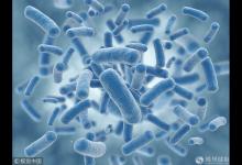 《流感下的北京中年》刷屏 中日醫院呼吸專家教你更懂流感！