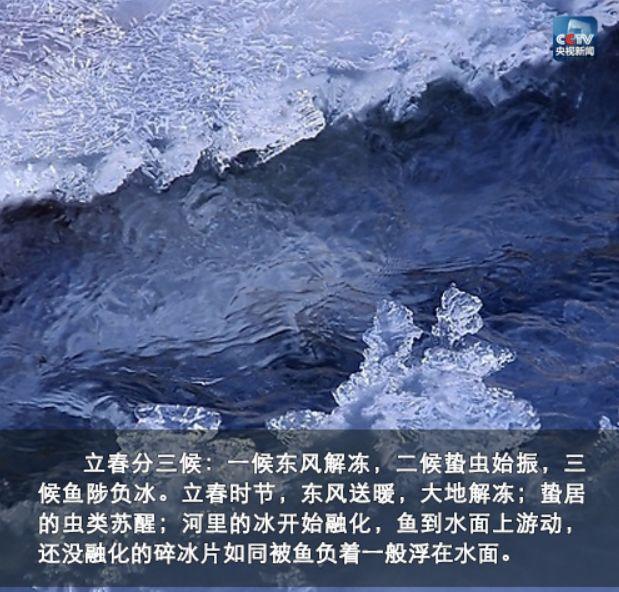 夜讀丨立春：人隨春好，春與人宜