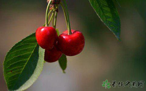 5天吃掉6斤車厘子 吃車厘子有什么好處