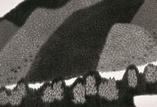 丹青也是可以做“妙手”，既養(yǎng)心又養(yǎng)生！