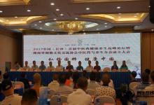 中國首屆中醫養生健康峰會  探尋中醫養生觀念與實踐
