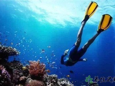 潛水員被鯨魚吞入 潛水安全注意事項