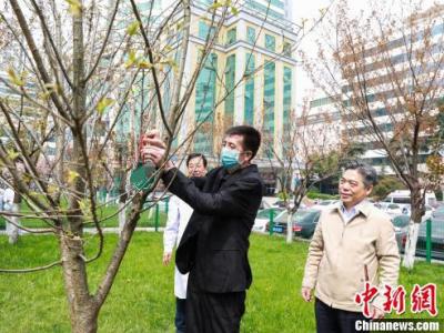 男子罹患多種疾病 同時換心臟和主動脈獲新生