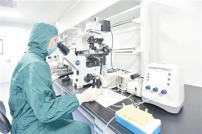 想不到！肝臟里的小油滴會啟動免疫“毀滅”程序