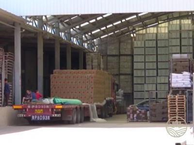 天價(jià)蘋果幕后，竟然是這一群人在幕后推手