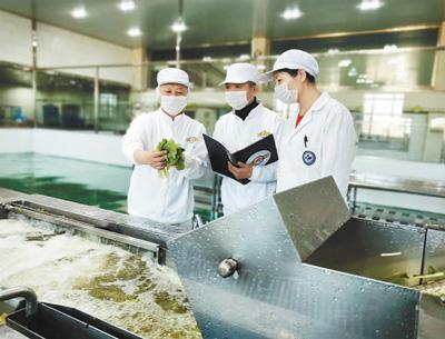 守護食品安全的人：敬畏“舌尖上的安全”