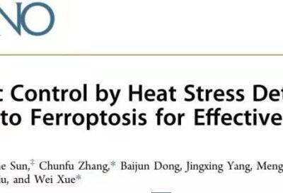 中國學(xué)者率先發(fā)現(xiàn)“殺死”前列腺癌細(xì)胞新策略