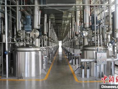 葛洪醫藥遺產在廣東羅浮山得到傳承 已研制180多個醫藥品種