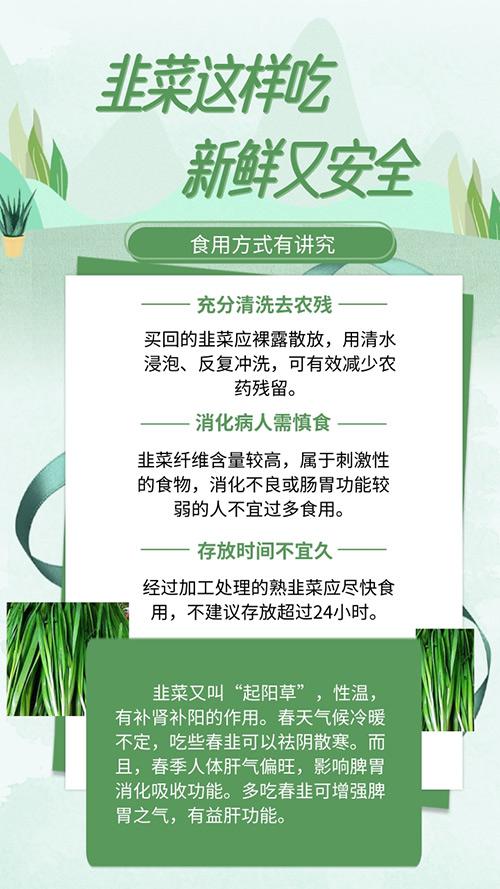 春食韭菜升發陽氣這樣吃新鮮又安全