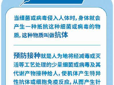 老年人也很需要的三種疫苗(健康直通車(第87站))