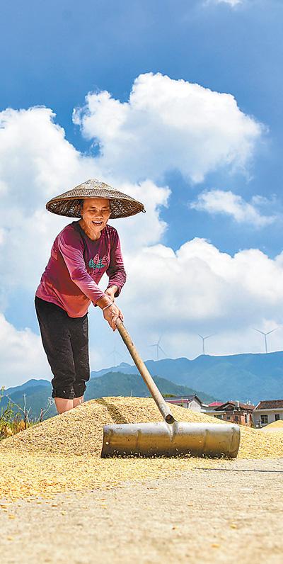 “兩節(jié)”商品足供應(yīng)保障穩(wěn)(新時代畫卷)