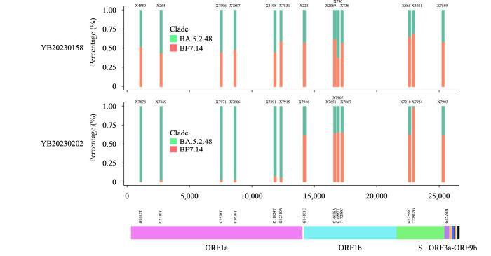 同時感染奧密克戎兩種毒株!如何看待這個“首次發現”?-易網健康<a href=http://www.logojc.com/jkys/ target=_blank class=infotextkey>養生</a>網 同時感染奧密克戎兩種毒株!如何看待這個“首次發現”?