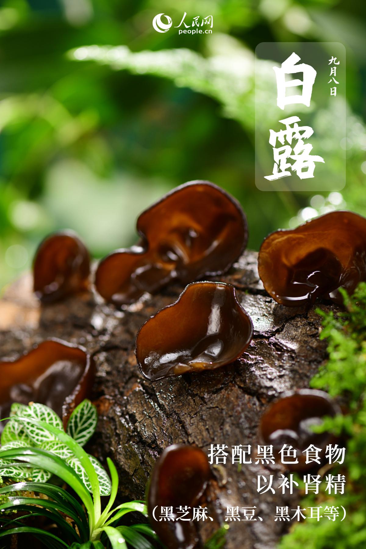 白露寒氣生，養生應注意哪些要點？