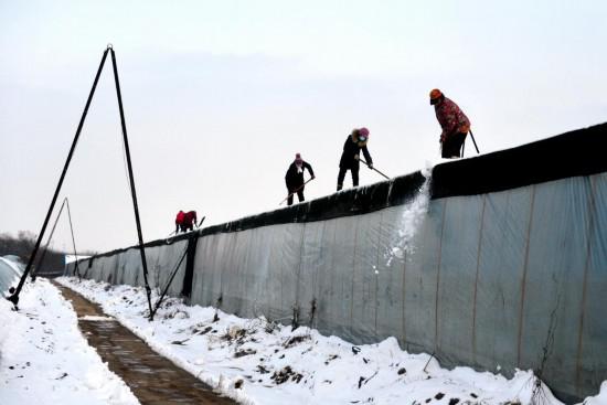 大范圍降雪降溫來襲，這些事項要注意