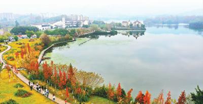 二〇二三，健康中國建設步履堅實（年終盤點）