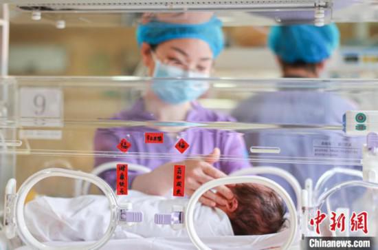 山東榮成：新生兒重癥監(jiān)護(hù)病房里的春節(jié)