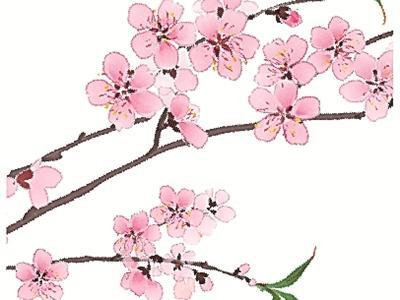 二十四節氣二十四問