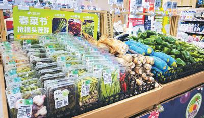 吃春菜，品“舌尖上的春天”（知食點(diǎn)）