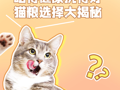 吃得健康挑得好 貓糧選擇大揭秘