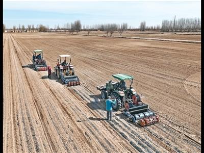 板藍(lán)根能預(yù)防感冒嗎？（杏林尋寶）