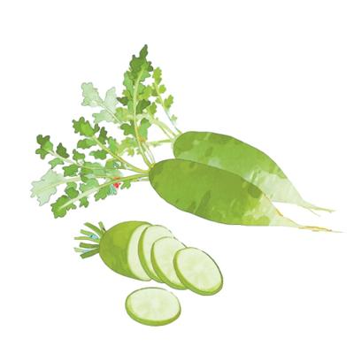 為什么“冬吃蘿卜夏吃姜”（文化中國行·二十四節氣二十四問）