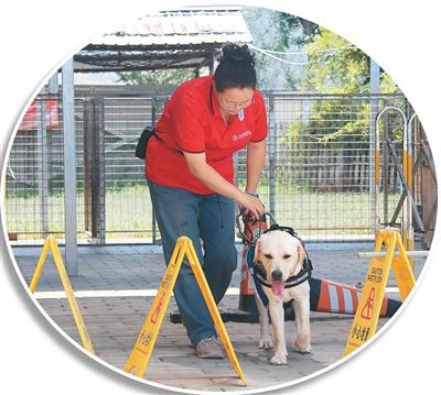 把“毛孩子”培養(yǎng)成“專(zhuān)業(yè)助手”（新職·新知?）