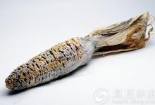 當心你身邊的最強致癌物