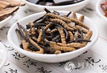 冬蟲夏草這樣吃更營養！