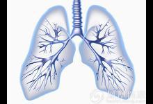 秋后這樣養肺冬來不生病！