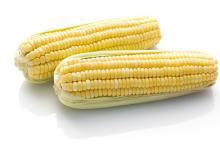 秋天腦梗高發(fā)怎么預(yù)防？多吃 6 種食物疏通血管