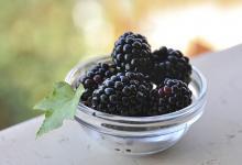 這物號稱民間圣果最補腎