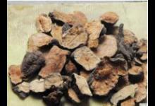 何首烏可治療腸燥便秘 孕婦需注意用量