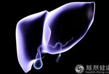 肝臟最愛7大營養