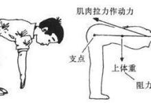 中醫一個方子可治愈腰椎間盤突出