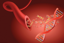 血管好不好，握拳30秒就能測出來