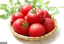 高血壓最怕的水果，每天吃一個，血壓蹭蹭往下降