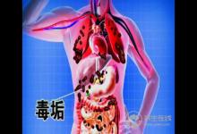 恢復(fù)腸道健康，清理累積毒素，推薦益生菌