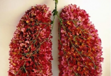 肺部垃圾多損健康，清肺一招簡單搞定