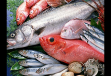 這些人群最好別吃魚,進(jìn)補(bǔ)不成還有害健康