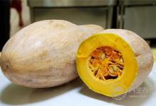 5大養胃食物，胃越吃越健康