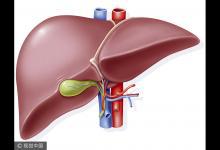 春季養(yǎng)肝有四法，從食物上下工夫