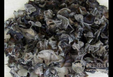 食物越新鮮越有營養？不全是這樣