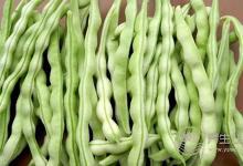 這7種蔬菜家里經常煮，竟然有毒！