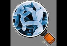 益生菌那么火，益生菌對人體到底有哪些好處