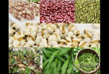 回南天如何除濕？關(guān)鍵一點(diǎn)別忘了