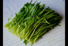 空心菜不僅口感脆嫩，它的功效更強大